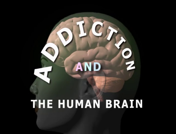 Addiction and the Human Brain
