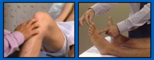 Routine Examination of the Joints Series