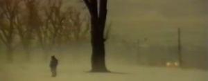 Iranian Exiles - The Tree That Remembers. 2002